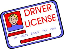 driver license cartoon